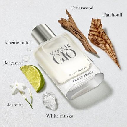 Giorgio Armani Acqua Di Giò Pour Homme ©